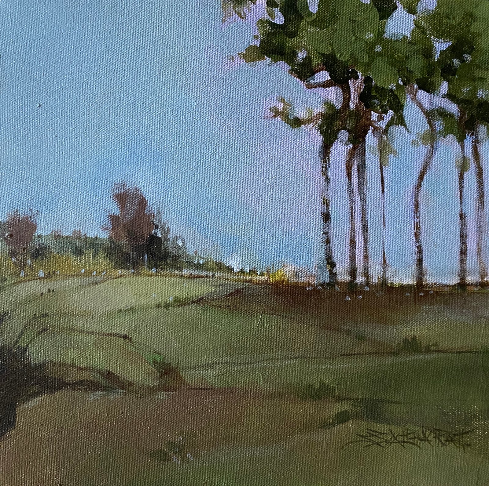 Landscape
